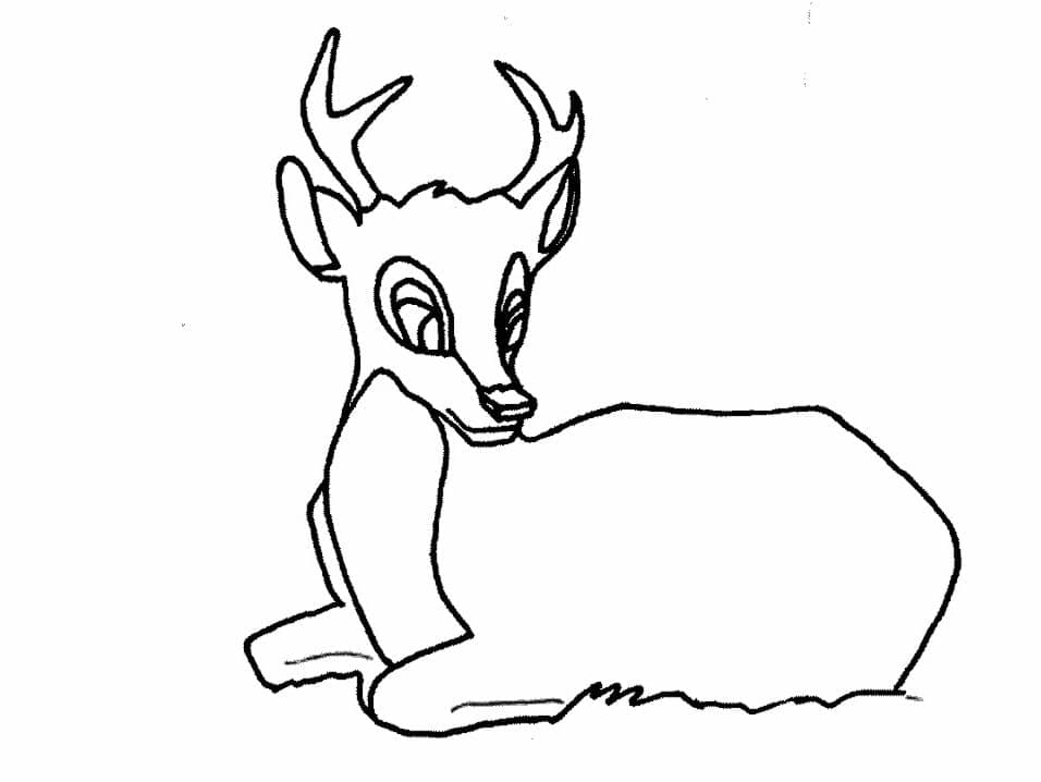 Coloriage gratuit pour enfants et adultes Chevreuil #191072, collection Animaux