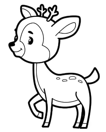 Illustration au trait Chevreuil #191080 de la collection Animaux à colorier gratuitement