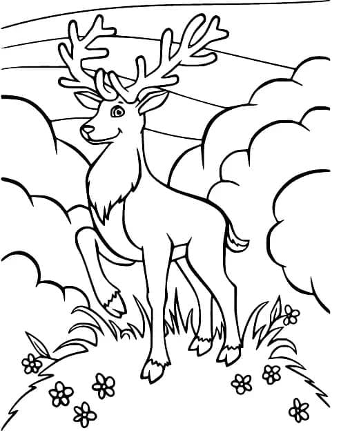 Coloriage gratuit Chevreuil #191084 de la collection Animaux à imprimer