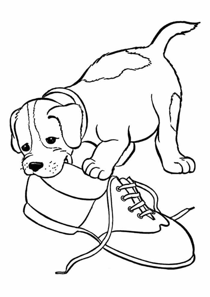 Illustration au trait Chien #182817 de la collection Animaux à colorier gratuitement