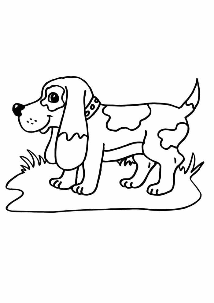 Dessin à colorier Chien #182822 issu de la collection Animaux, prêt à imprimer