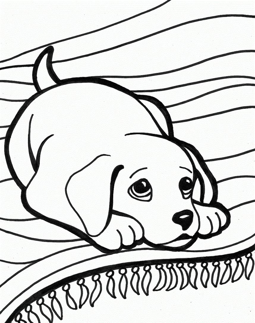 Coloriage gratuit pour enfants et adultes Chien #182827, collection Animaux
