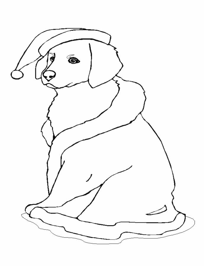 Dessin à colorier: Chien (Animaux) #3093 - Coloriages à Imprimer Gratuits