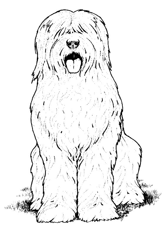 Dessin à colorier: Chien (Animaux) #3098 - Coloriages à Imprimer Gratuits