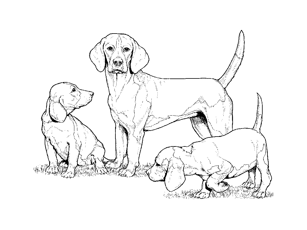 Dessin à colorier: Chien (Animaux) #3111 - Coloriages à Imprimer Gratuits