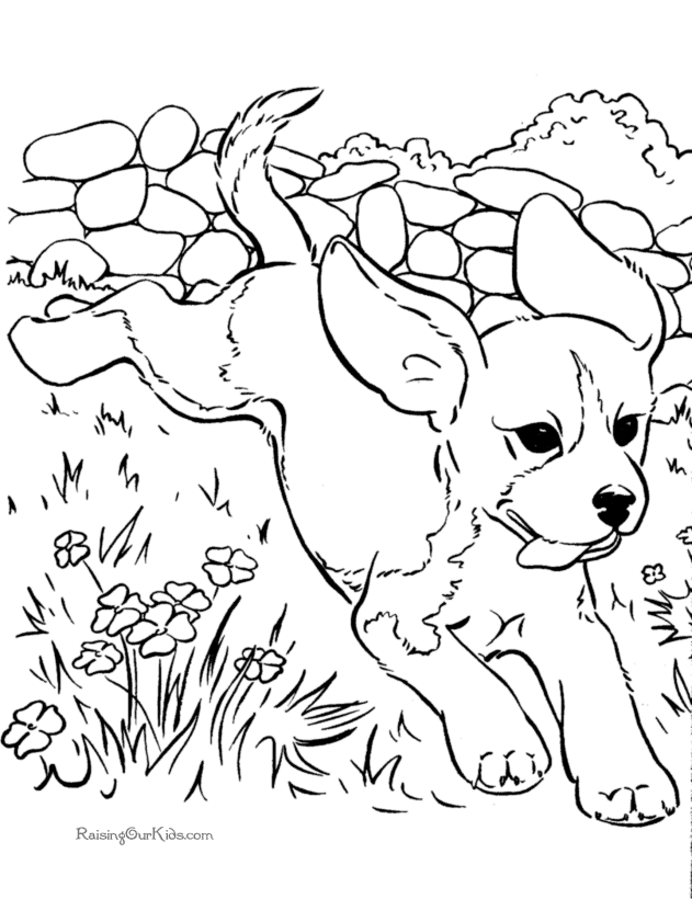 Dessin à colorier: Chien (Animaux) #3129 - Coloriages à Imprimer Gratuits