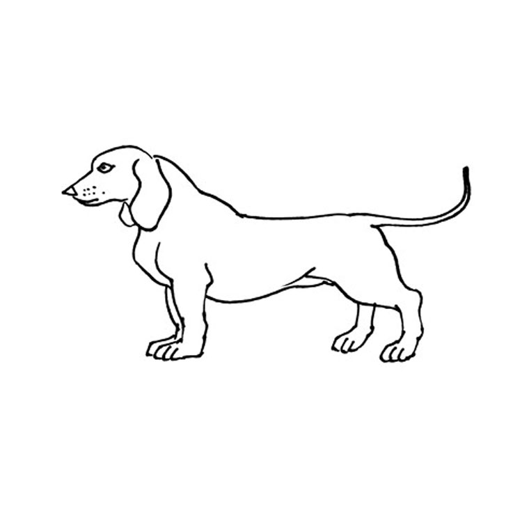 Dessin à colorier: Chien (Animaux) #3151 - Coloriages à Imprimer Gratuits