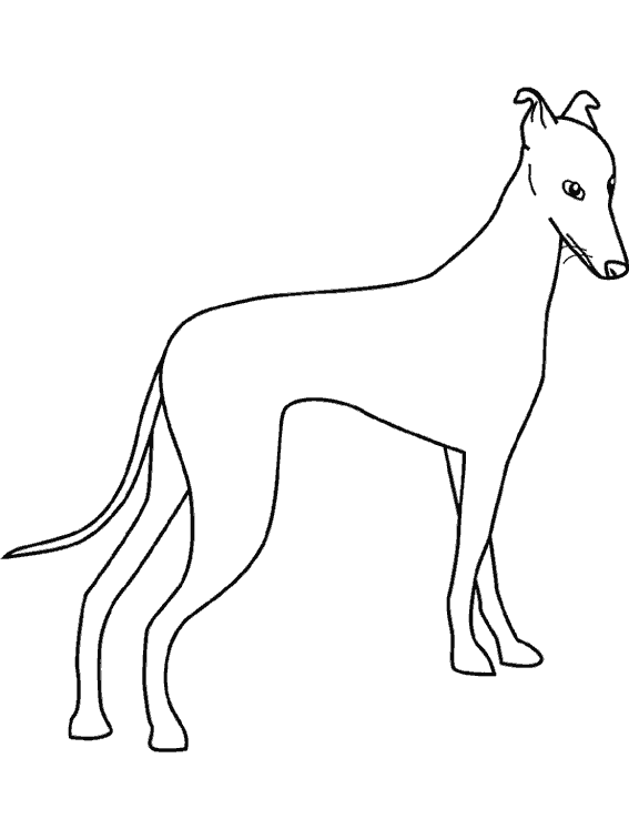 Dessin à colorier: Chien (Animaux) #3156 - Coloriages à Imprimer Gratuits