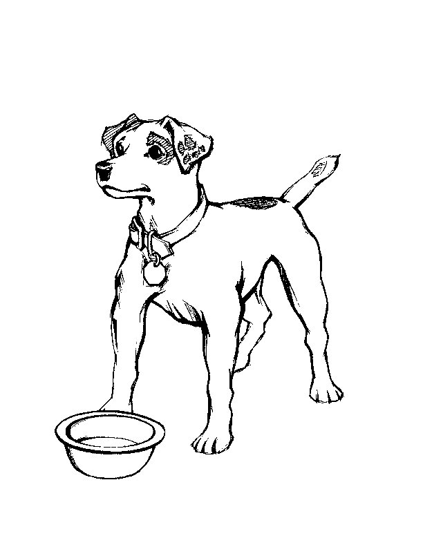 Dessin à colorier: Chien (Animaux) #3169 - Coloriages à Imprimer Gratuits