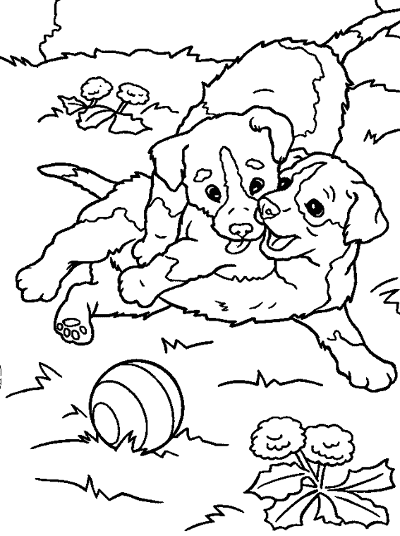 Dessin à colorier: Chien (Animaux) #3174 - Coloriages à Imprimer Gratuits