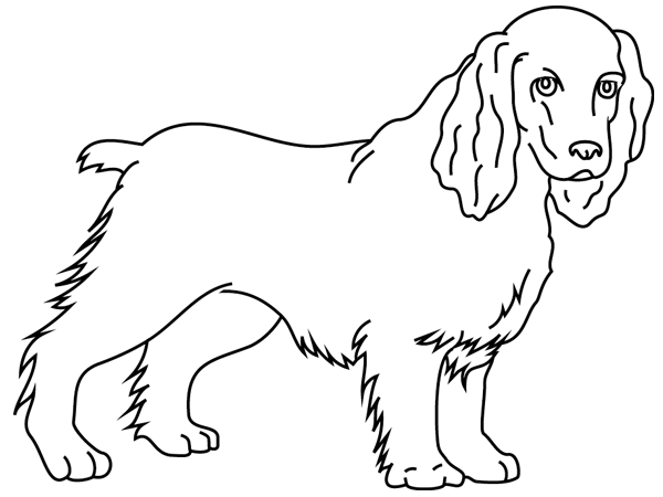 Dessin à colorier: Chien (Animaux) #3213 - Coloriages à Imprimer Gratuits