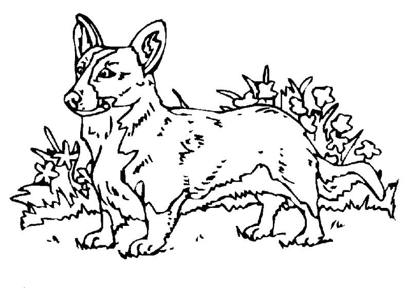 Dessin à colorier: Chien (Animaux) #73 - Coloriages à Imprimer Gratuits