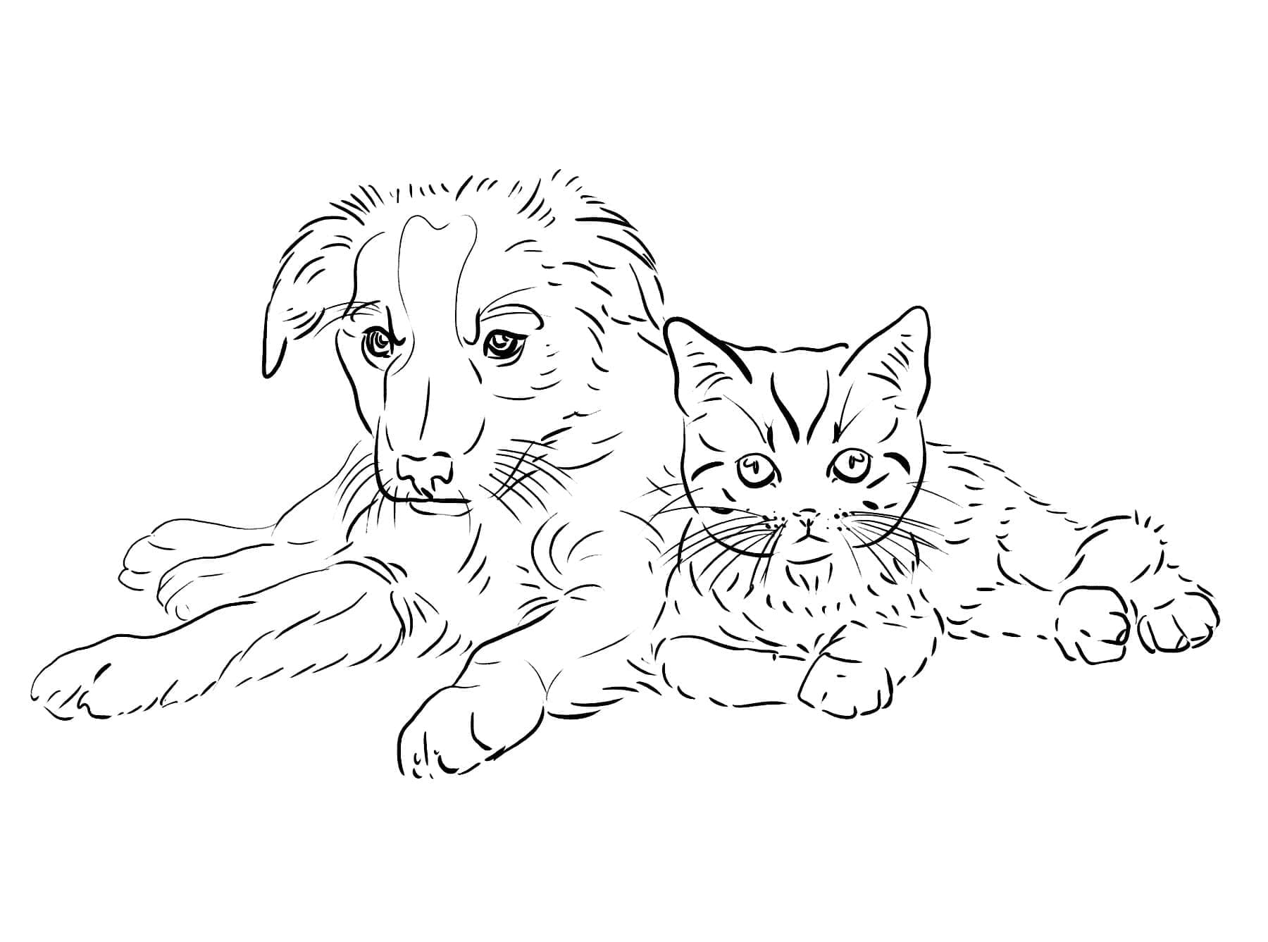 Coloriage gratuit Chien et Chat #211037 de la collection Animaux à imprimer