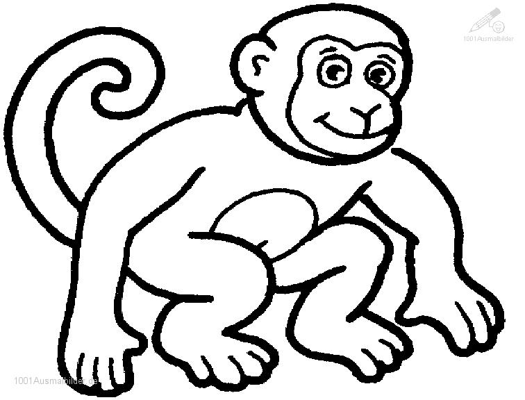 Dessin à colorier: Chimpanzé (Animaux) #2788 - Coloriages à Imprimer Gratuits
