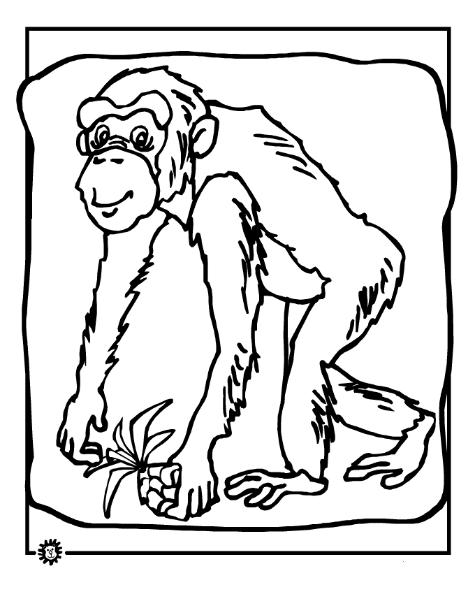 Dessin à colorier: Chimpanzé (Animaux) #2798 - Coloriages à Imprimer Gratuits