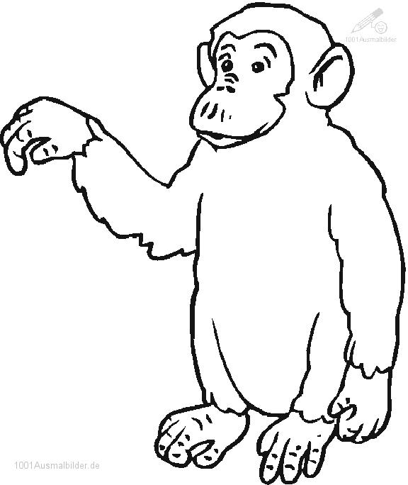Dessin à colorier: Chimpanzé (Animaux) #2805 - Coloriages à Imprimer Gratuits