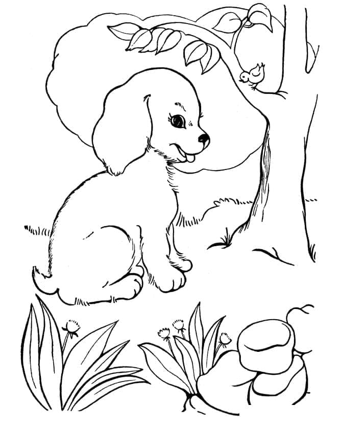 Coloriage imprimable Chiot #199535 de la collection Animaux à colorier aux crayons