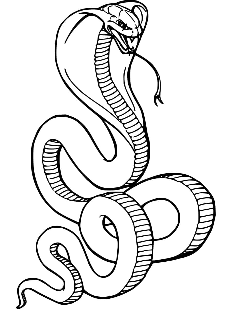 Coloriage gratuit Cobra #212674 de la collection Animaux à imprimer