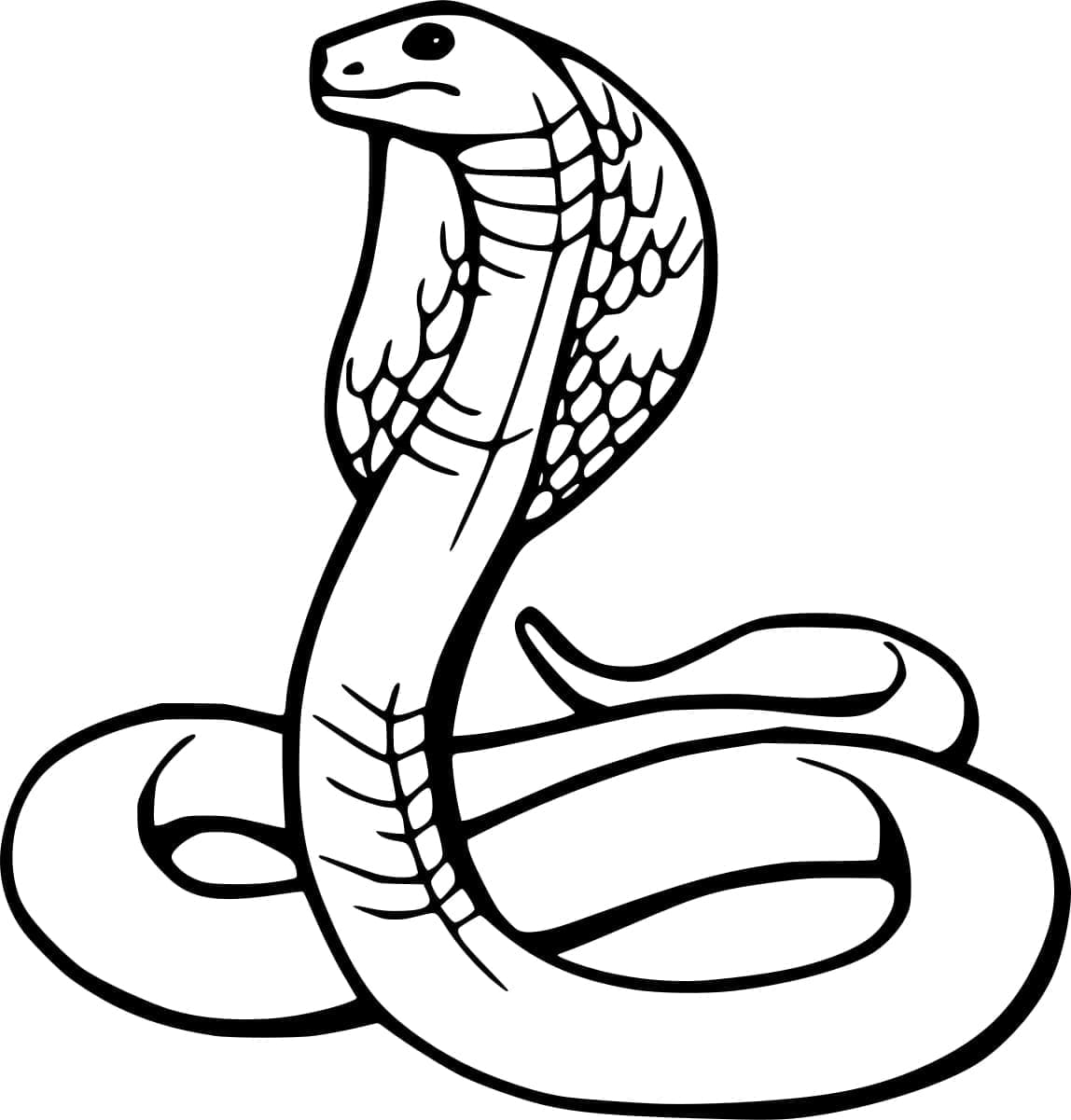 Coloriage gratuit Cobra #212678 de la collection Animaux à imprimer