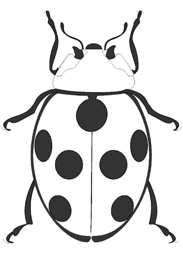Coloriage gratuit Coccinelle #177705 de la collection Animaux à imprimer