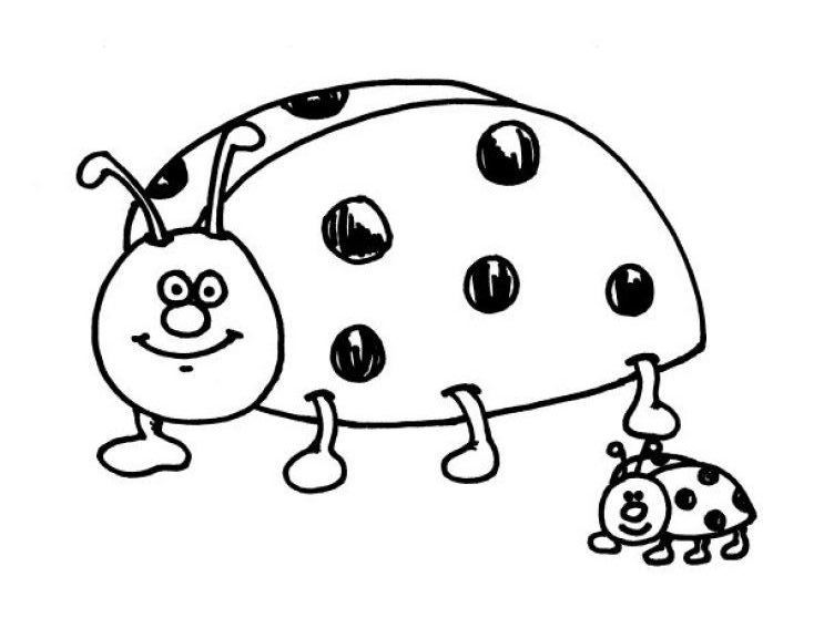 Dessin à colorier: Coccinelle (Animaux) #3421 - Coloriages à Imprimer Gratuits