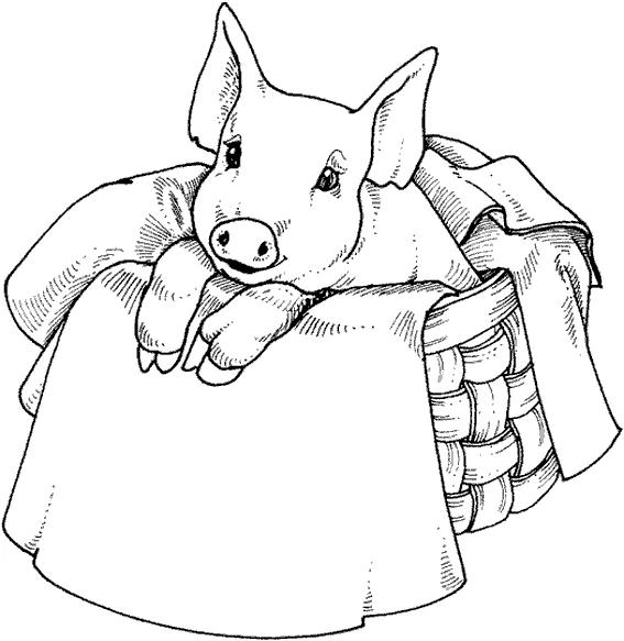Coloriage gratuit Cochon #17784 de la collection Animaux à imprimer