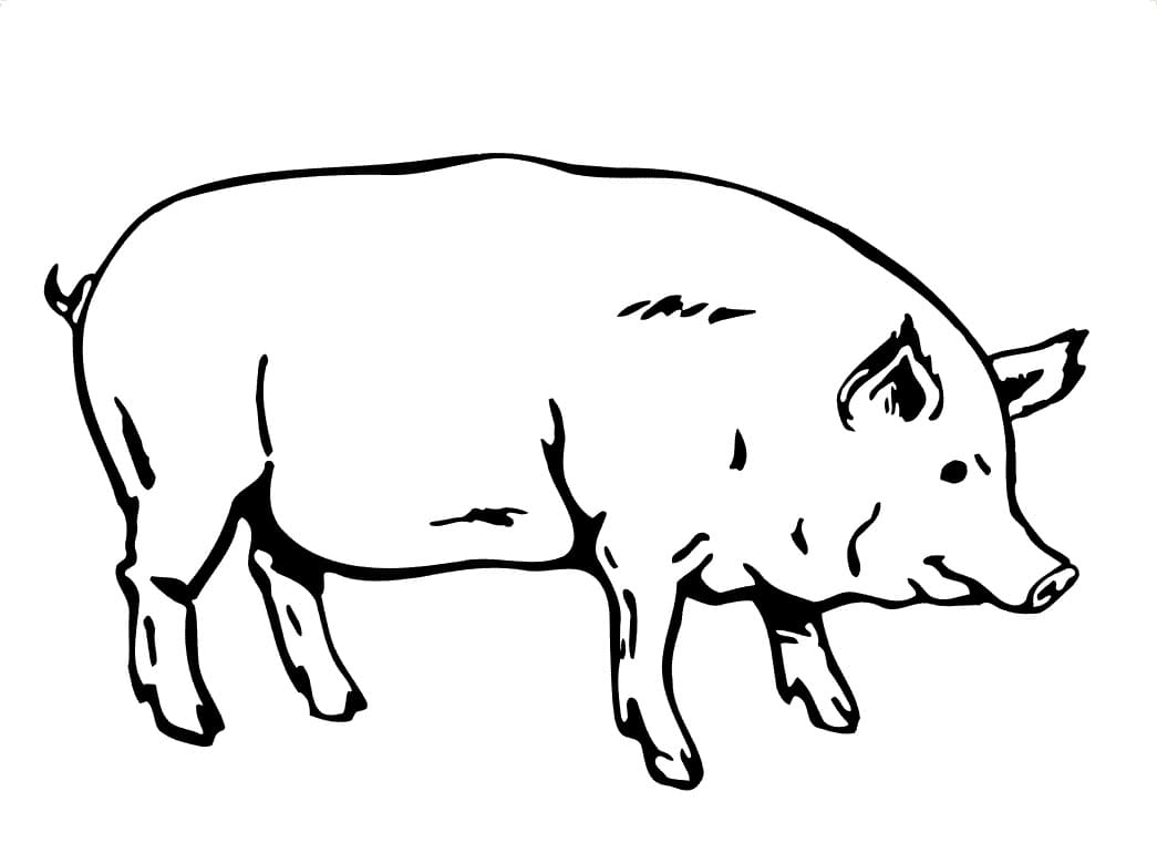Coloriage imprimable Cochon #191184 de la collection Animaux à colorier aux crayons