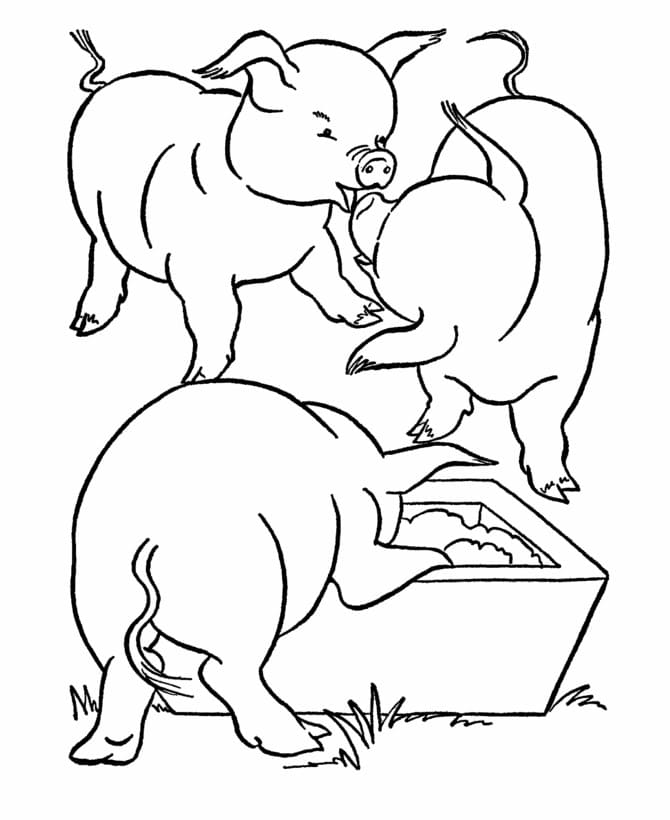 Page de coloriage Cochon #191194, collection Animaux, à imprimer et colorier
