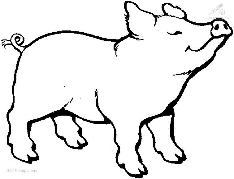 Dessin à colorier: Cochon (Animaux) #3588 - Coloriages à Imprimer Gratuits