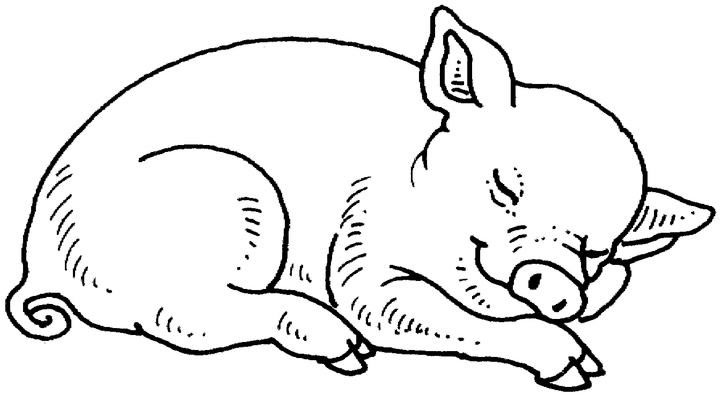 Dessin à colorier: Cochon (Animaux) #3590 - Coloriages à Imprimer Gratuits