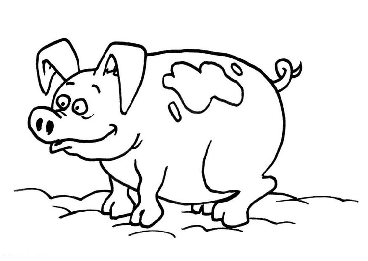 Dessin à colorier: Cochon (Animaux) #3682 - Coloriages à Imprimer Gratuits