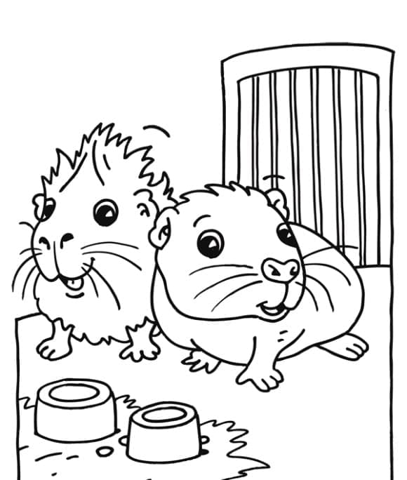 Coloriage Cochon dinde #211140 à imprimer gratuitement, extrait de la collection Animaux