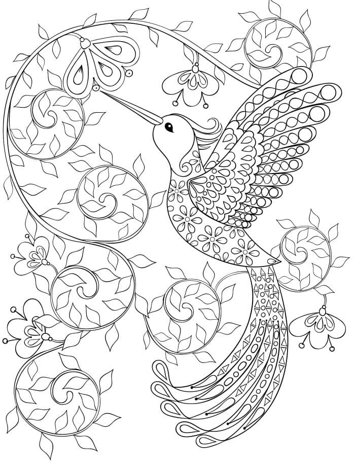 Coloriage gratuit Colibri #208581 de la collection Animaux à imprimer