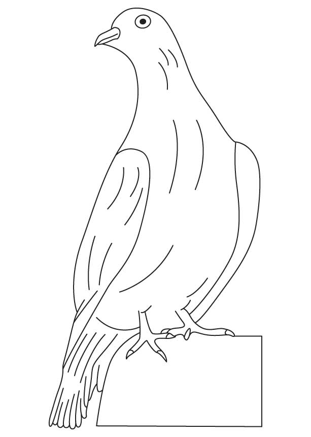 Dessin à colorier: Colombe (Animaux) #3929 - Coloriages à Imprimer Gratuits