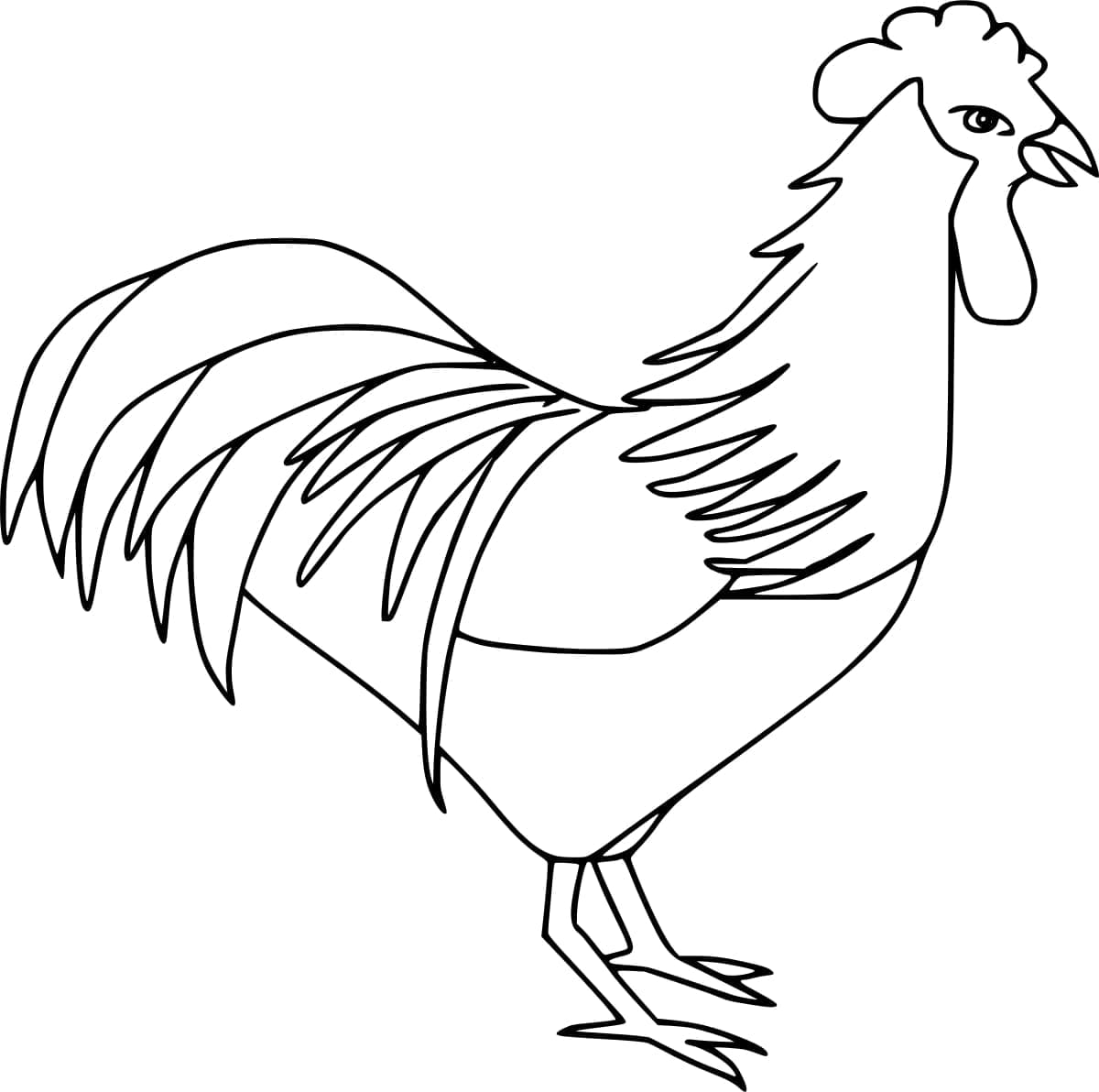Joli coloriage Coq #207118 de la collection Animaux, prêt à imprimer pour petits et grands