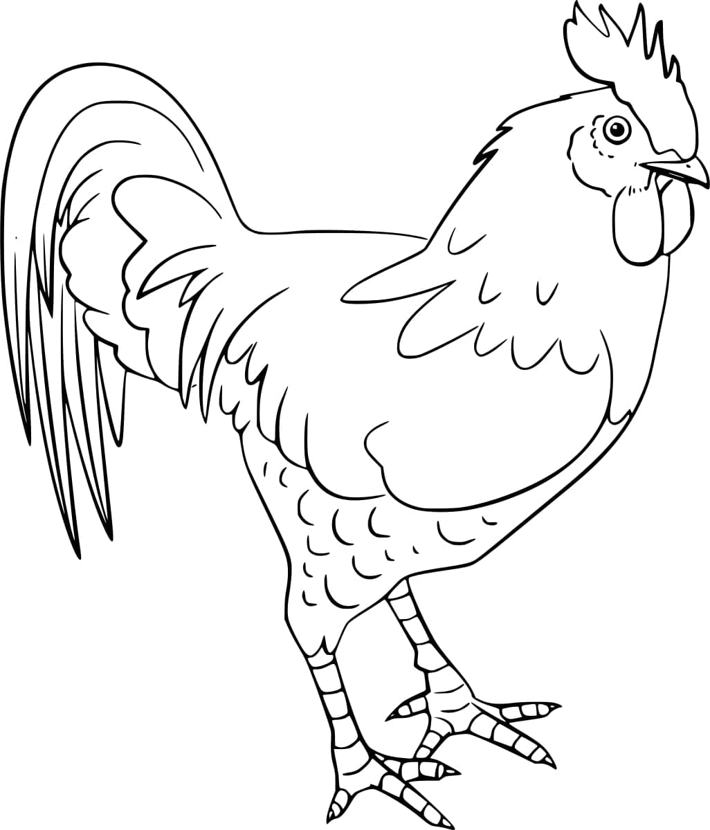 Coloriage gratuit Coq #207122 de la collection Animaux à imprimer