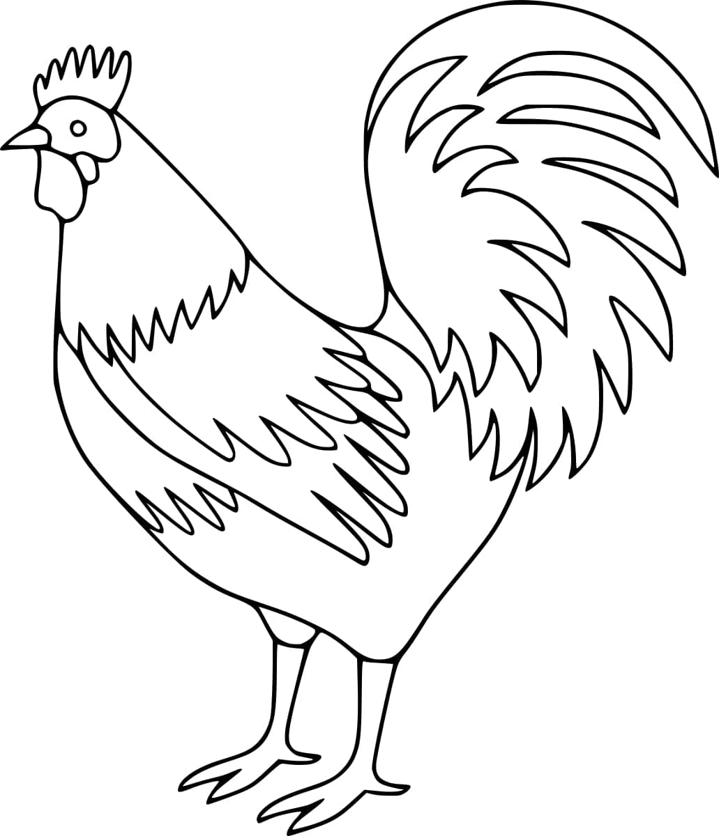 Joli coloriage Coq #207133 de la collection Animaux, prêt à imprimer pour petits et grands