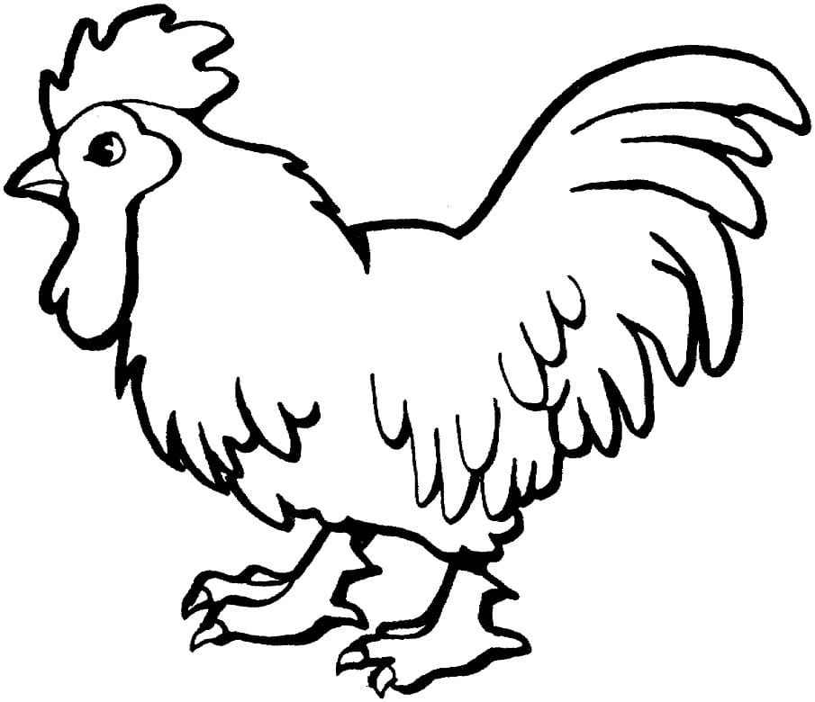Dessin à colorier Coq #207140 issu de la collection Animaux, prêt à imprimer