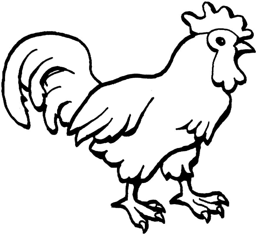 Coloriage gratuit Coq #207141 de la collection Animaux à imprimer