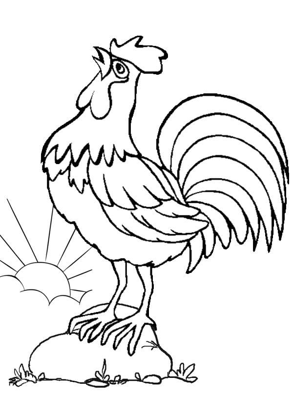 Coloriage imprimable Coq #207143 de la collection Animaux à colorier aux crayons