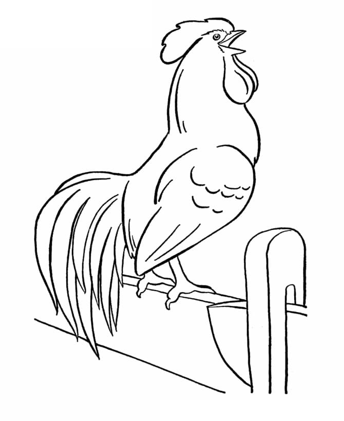 Joli coloriage Coq #207144 de la collection Animaux, prêt à imprimer pour petits et grands