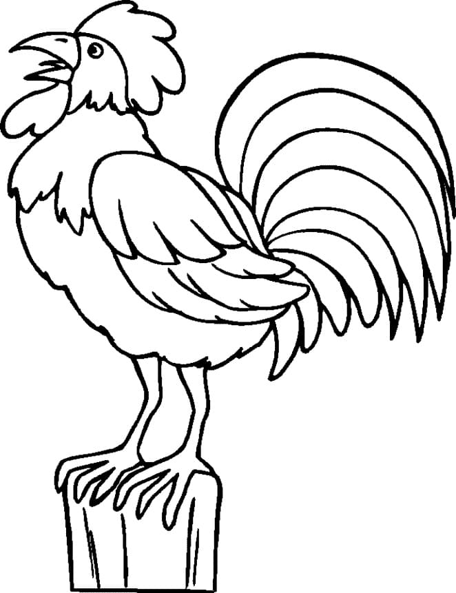 Dessin à colorier Coq #207148 issu de la collection Animaux, prêt à imprimer