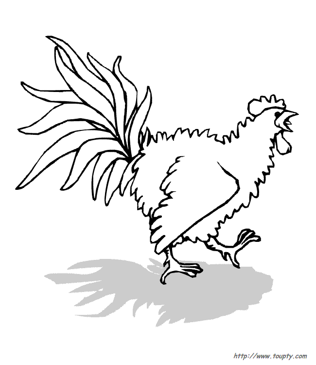 Dessin à colorier: Coq (Animaux) #4204 - Coloriages à Imprimer Gratuits