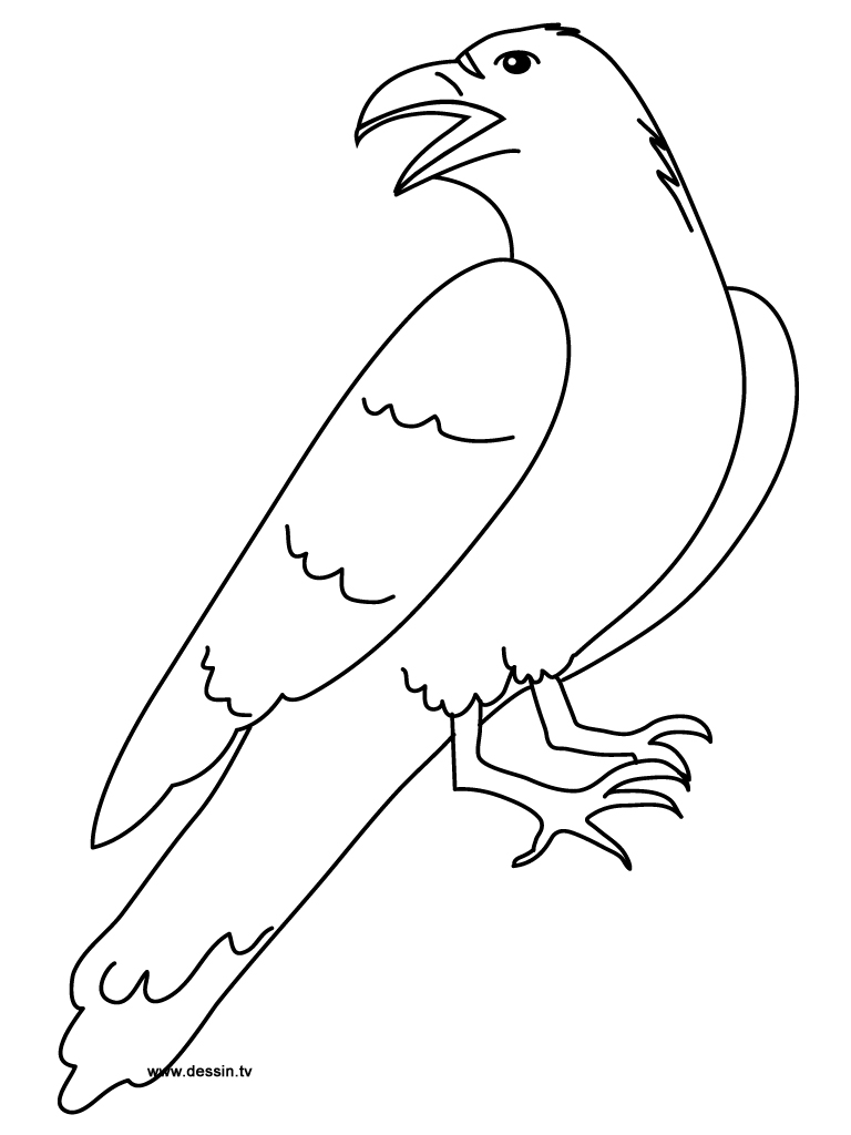 Dessin à colorier: Corbeau (Animaux) #4289 - Coloriages à Imprimer Gratuits