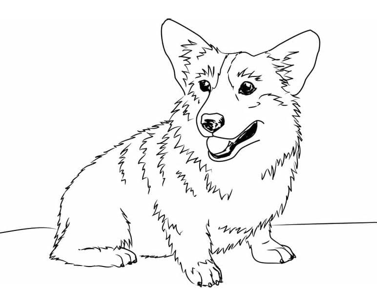 Coloriage gratuit Corgi #220758 de la collection Animaux à imprimer