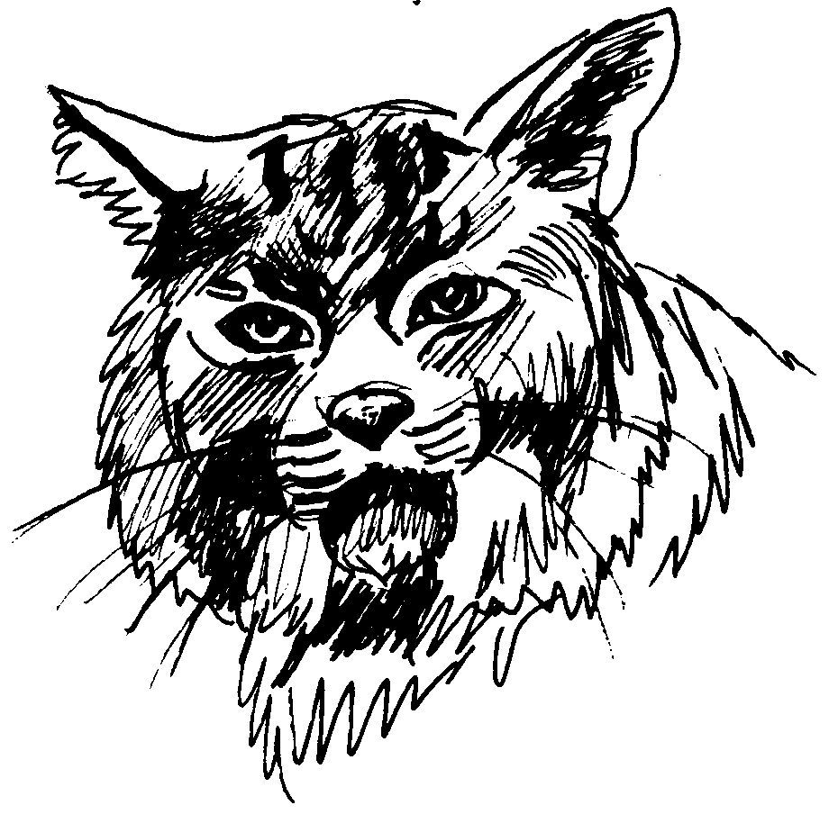 Dessin à colorier: Cougar (Animaux) #4398 - Coloriages à Imprimer Gratuits
