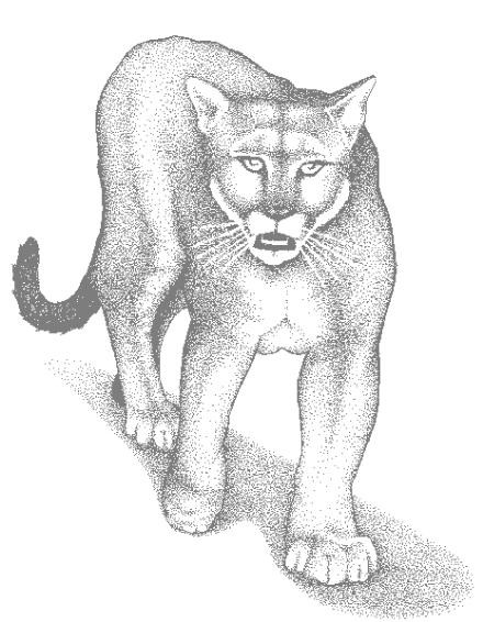Dessin à colorier: Cougar (Animaux) #4444 - Coloriages à Imprimer Gratuits