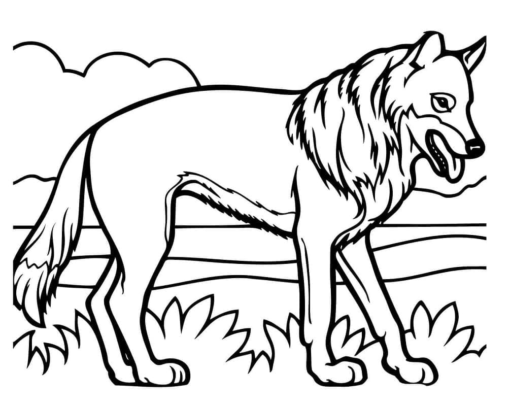 Coloriage gratuit Coyote #207099 de la collection Animaux à imprimer