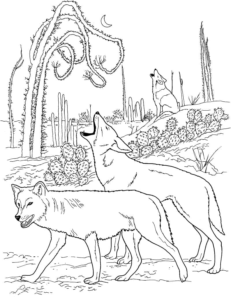 Coloriage gratuit Coyote #207107 de la collection Animaux à imprimer