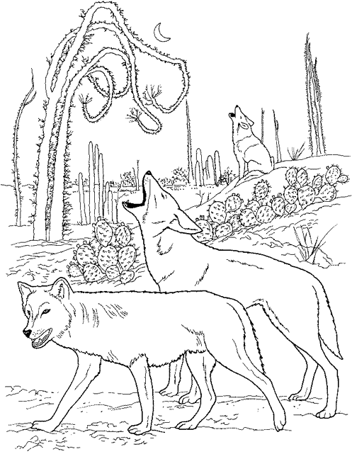 Dessin à colorier: Coyote (Animaux) #4550 - Coloriages à Imprimer Gratuits